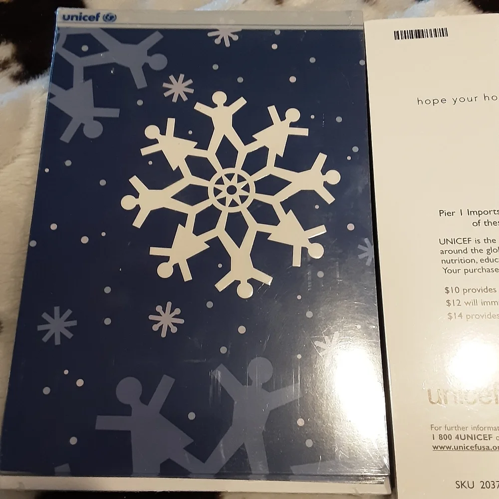 Set of 2 pier 1 Imports Christmas Cards